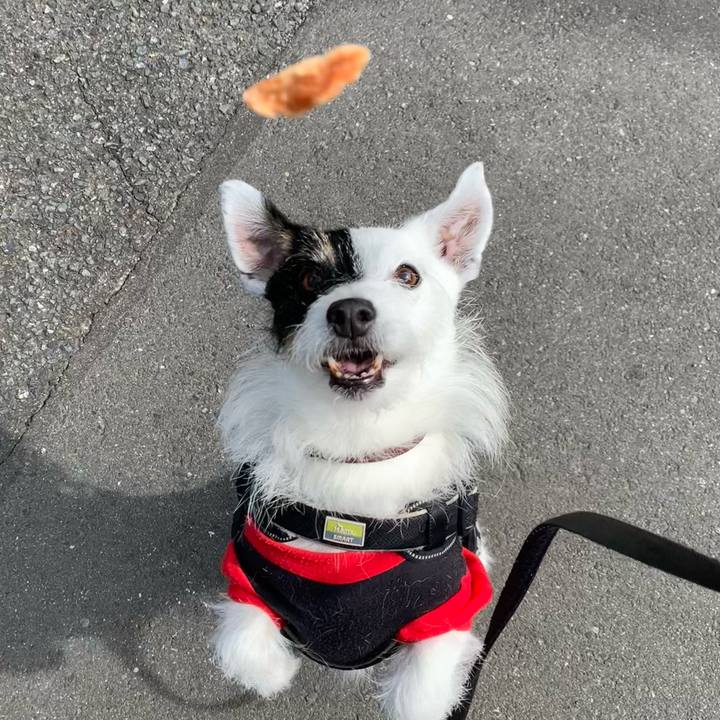 Ad113cfb b5a0 4ff3 917e 4c7f43329457 1748736147789