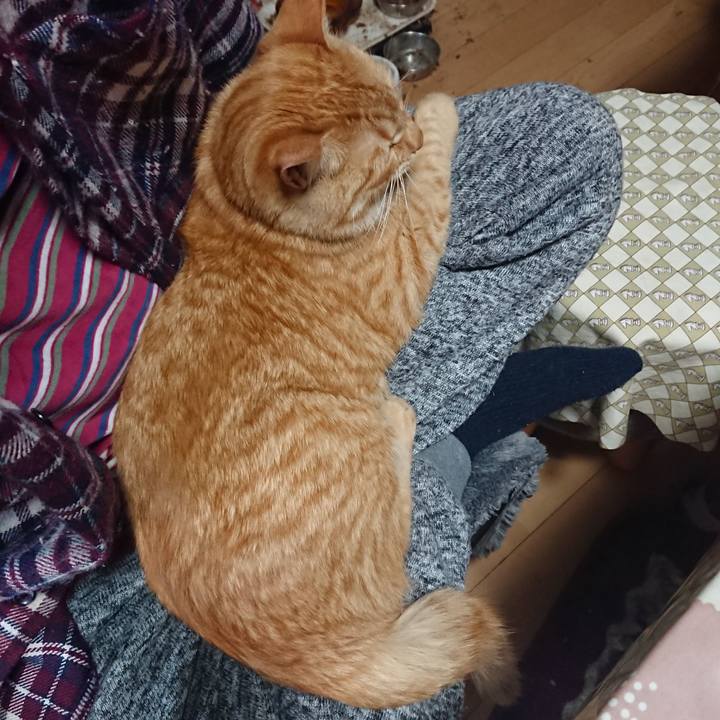 Ad11408d 96f9 475d a7f8 e053e3a04ba6 1649666240090