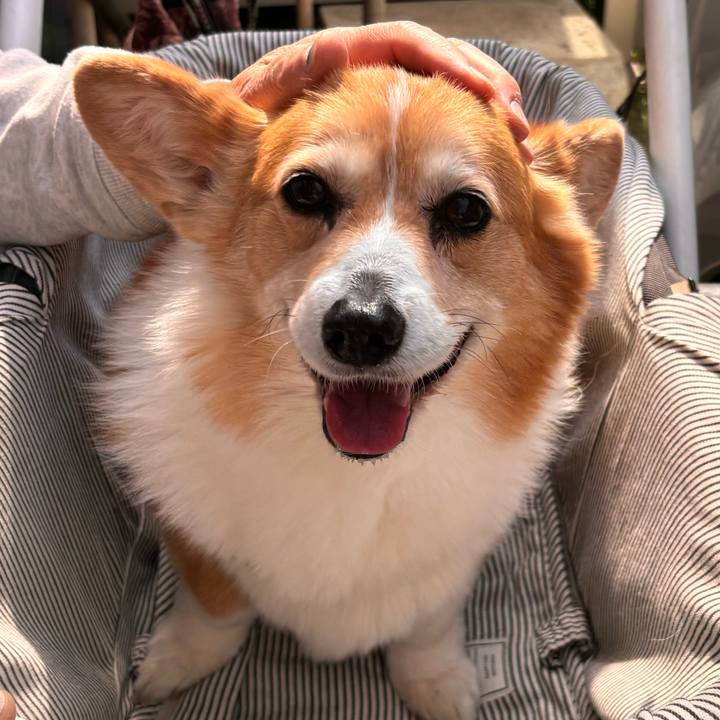 Ad115376 f71d 4f83 818d 492850300cf6 1775969591701