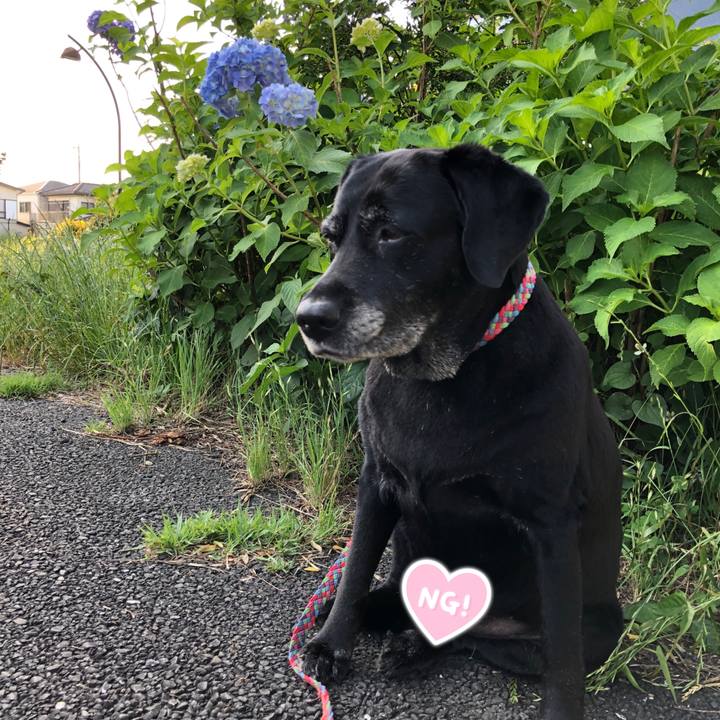 Ad11791d 3b7e 4665 9d3a c297d71f0ce1 1591786914735