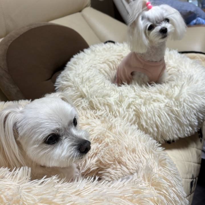 Ad1182be b0c7 4801 ae78 227fb228bb0d 1746519416361