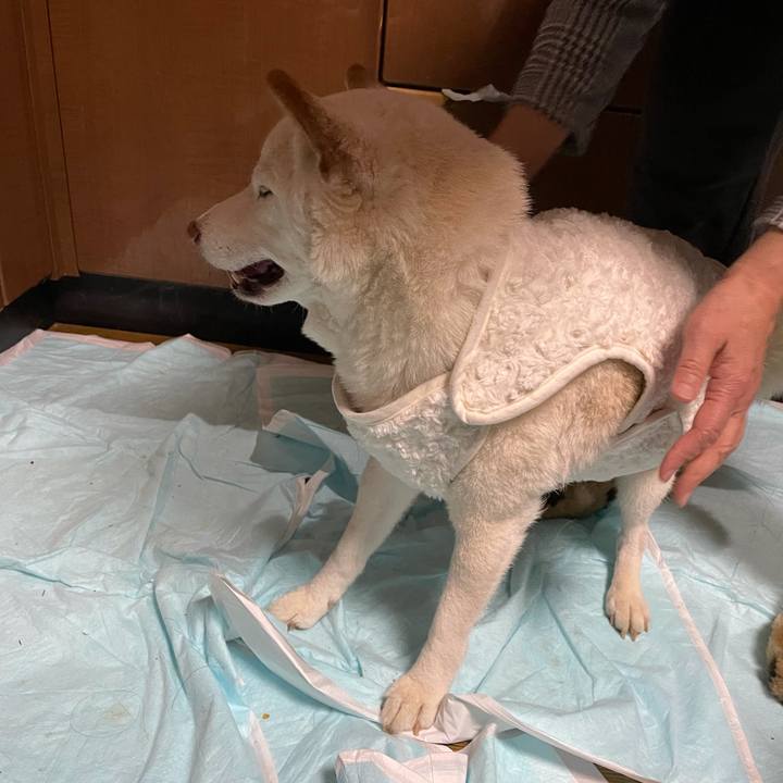 Ad1185e1 2cb6 4c9a 86a3 1bbdc9e200e5 1637930842530