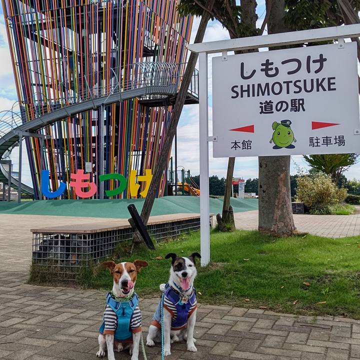 Ad11986c 669b 4baa 9696 af386a583f41 1662773457908