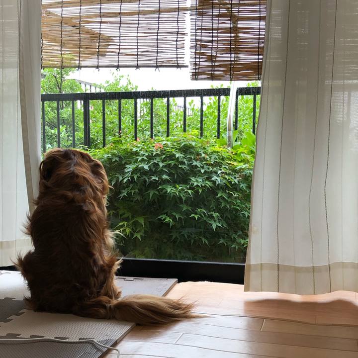 Ad119edc 5bd5 422b 9ab1 c0938e08a778 1620340109365