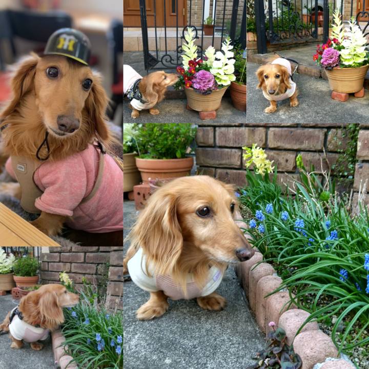 Ad11c043 c0e0 47e9 950c 579bf03fe01e 1711711450909