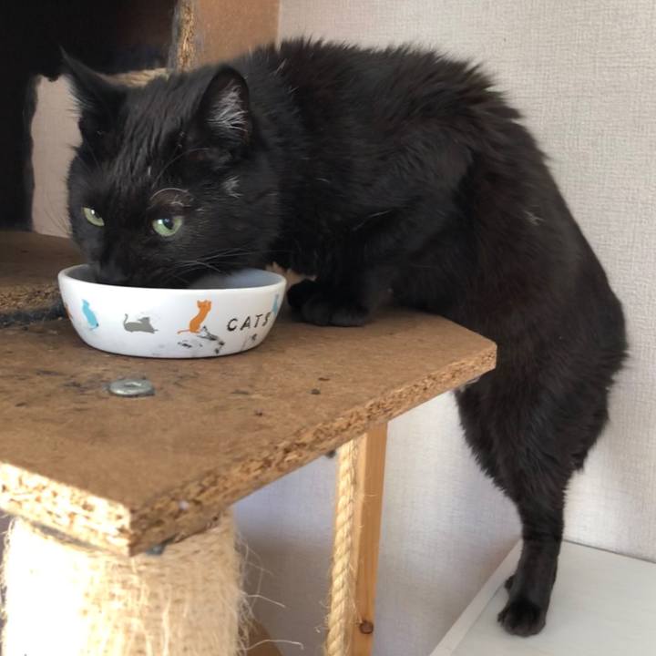 Ad11ca74 52a7 4449 ba0a b9ba9095bef8 1592173199066