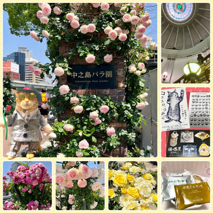 Ad11d909 d340 4a5d b588 60de10b068a3 1684360677813