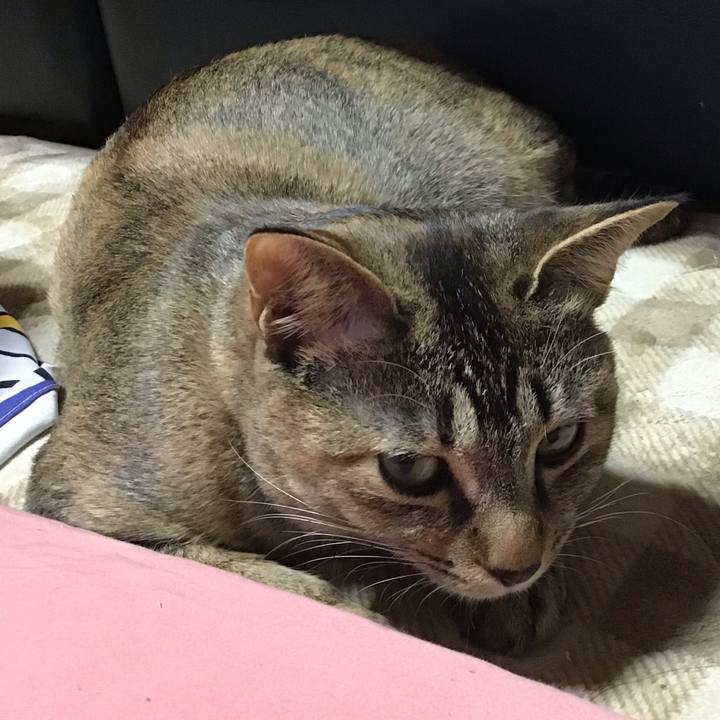 Ad11d9b2 afbd 45eb 91c8 0aac1e2b412a 1583662776351