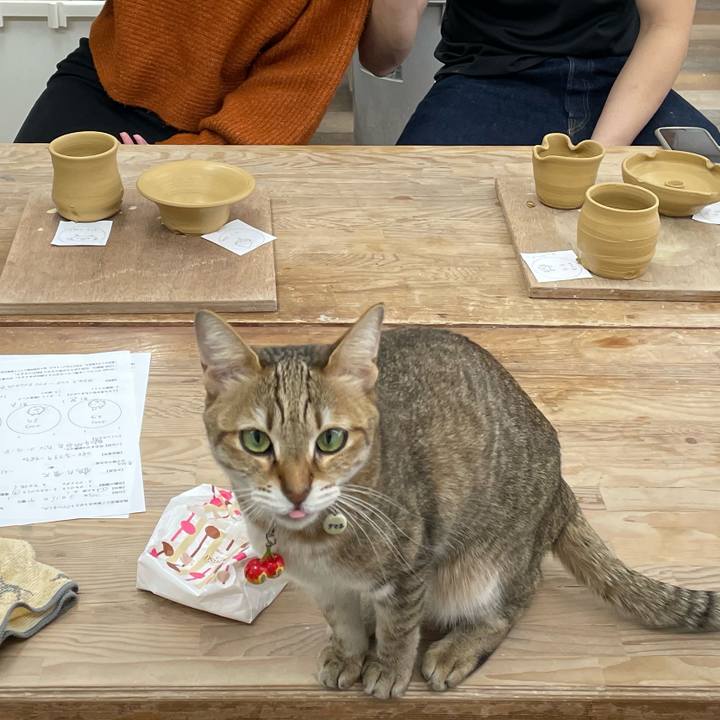 Ad124310 976f 421c bc71 8c0b8ed5f7f3 1678871493117