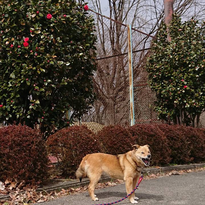 Ad125ab1 d35b 4357 9df5 c541e724c7c4 1616492301440