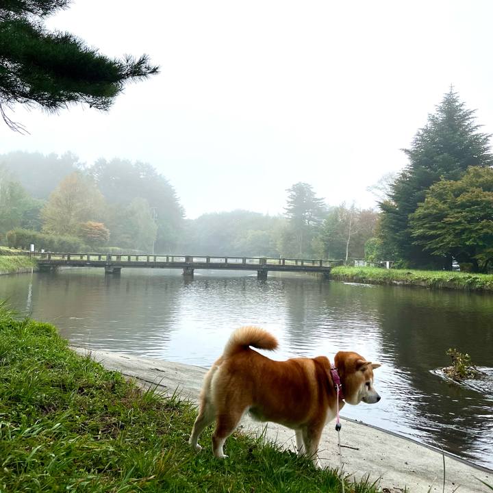 Ad1264f8 410d 4d3d 9954 4af3da45ba69 1697373976587