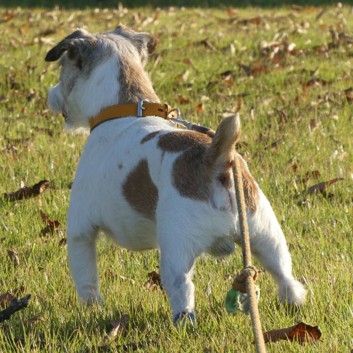 Ad129779 74a7 479d ae6b db7000514866 1603716874141