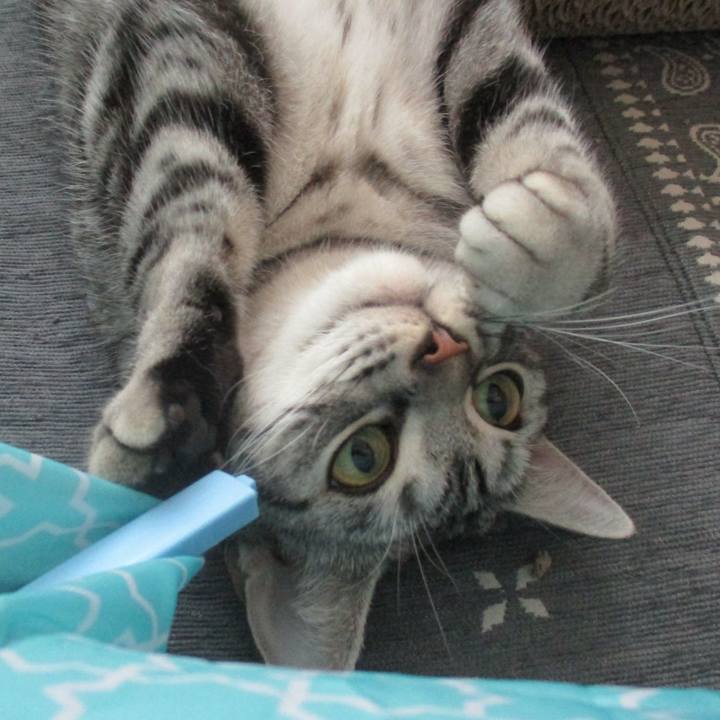 Ad129816 d371 4c92 91a3 63ac5560dd29 1571652344075