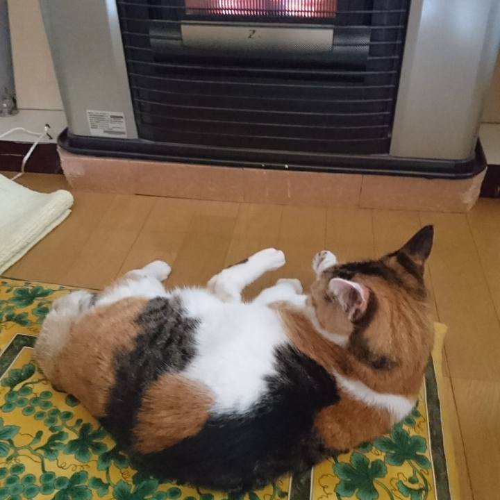 Ad12a4c7 1102 402c b356 0bc9750d8d32 1624151550413