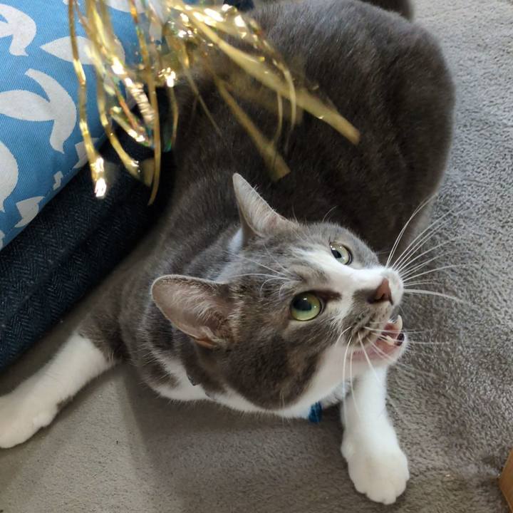 Ad12dc48 f070 471a b2fd 1bdc9600a419 1751954752152