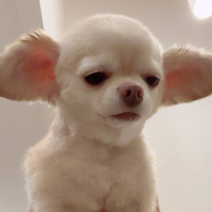 Ad12f1d7 8a60 453f 8f7f 899876829470 1722603677125