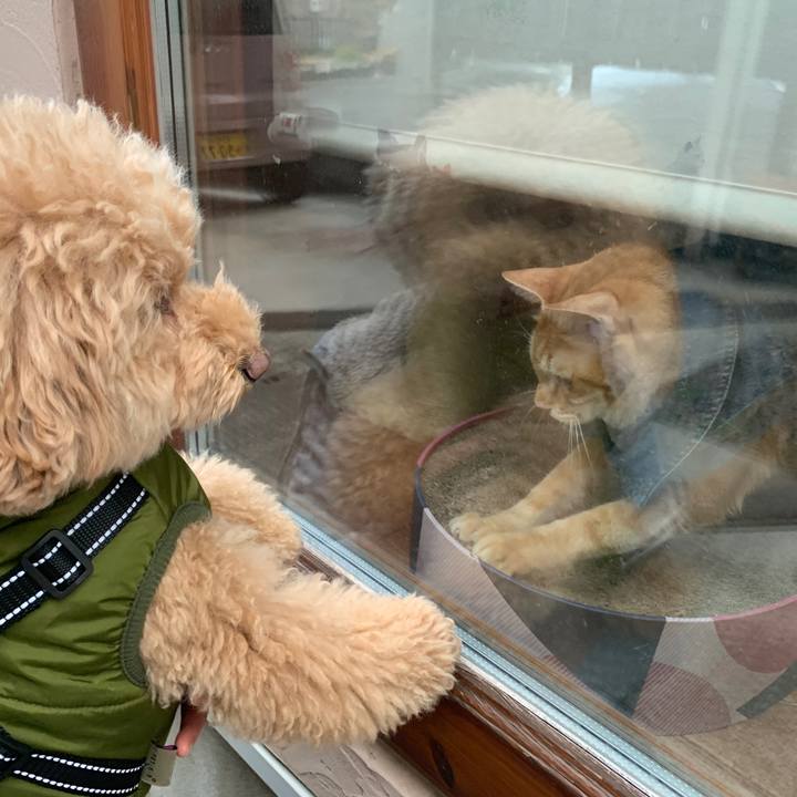 Ad132298 61e5 43a8 8d02 8fa21cb105ca 1645167757852