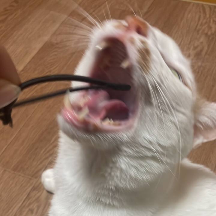 Ad132b5b b147 4605 bfb9 67f1c48fc842 1675342620325