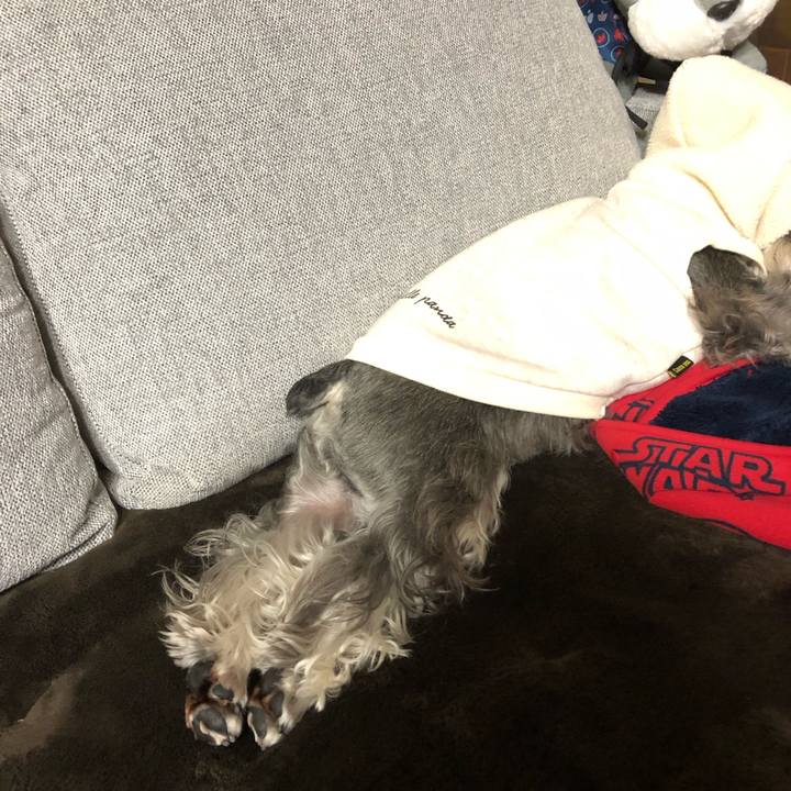 Ad1359f3 28ed 40a1 b284 145efd75a4aa 1584886139377