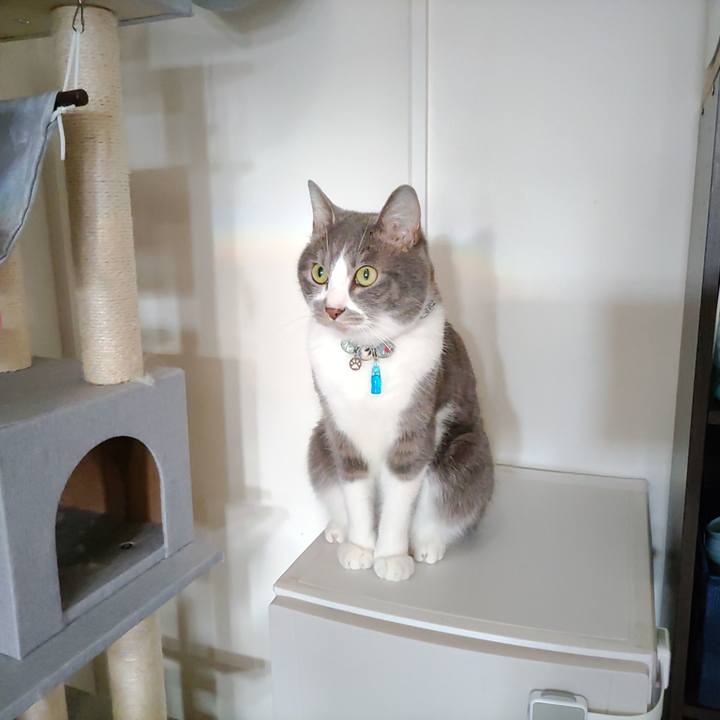 Ad138eff 025f 46e0 a976 4b2b41a74040 1682720688193