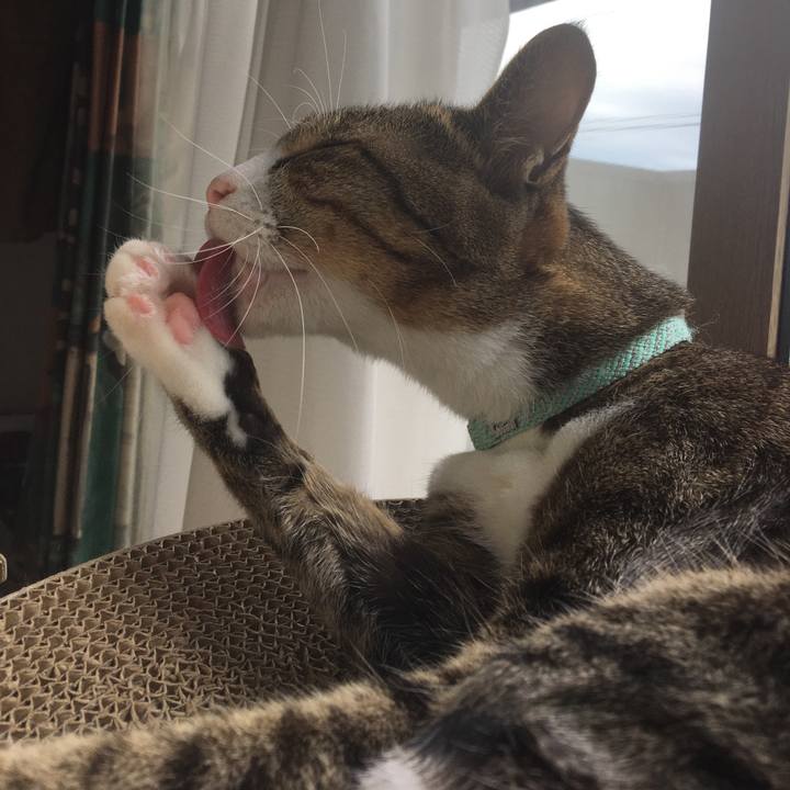 Ad139344 6221 4489 8955 e9dbda9fc16d 1694127122645