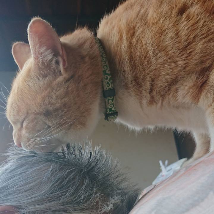 Ad139735 1714 409b 967f 9f0278a13b66 1585979578466