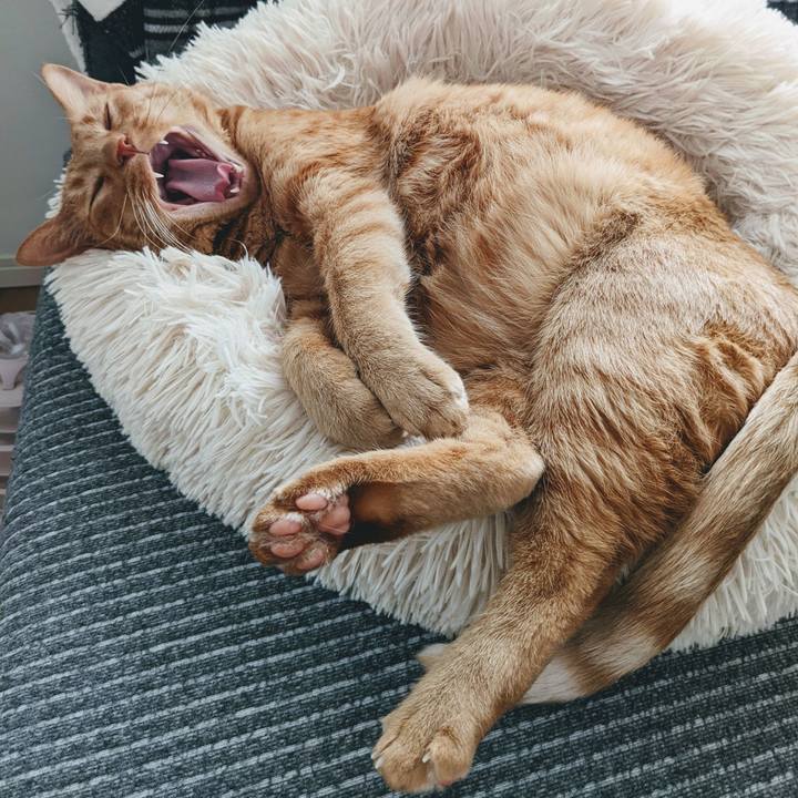 Ad13c869 e054 41bb a221 7f086acf7d85 1651752044381