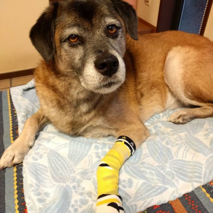 Ad14143a 55cc 41a1 8d83 5526ade88f48 1692317483454