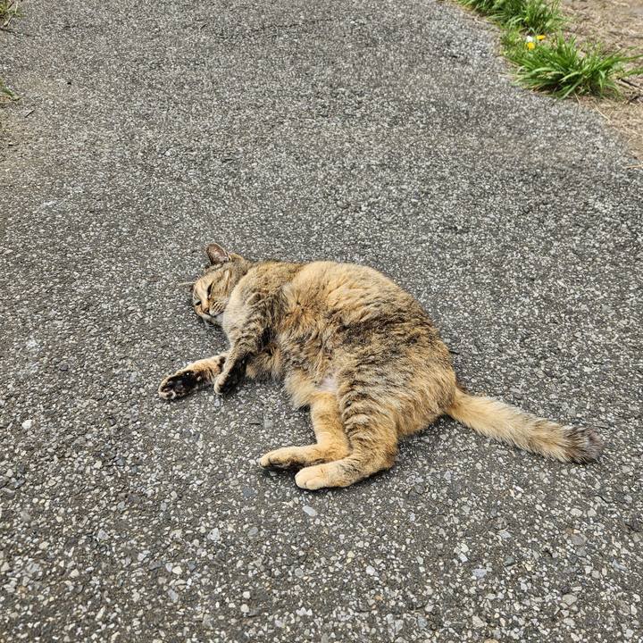 Ad14317d 4a1b 4251 81d1 1baaee6556ef 1713612080957