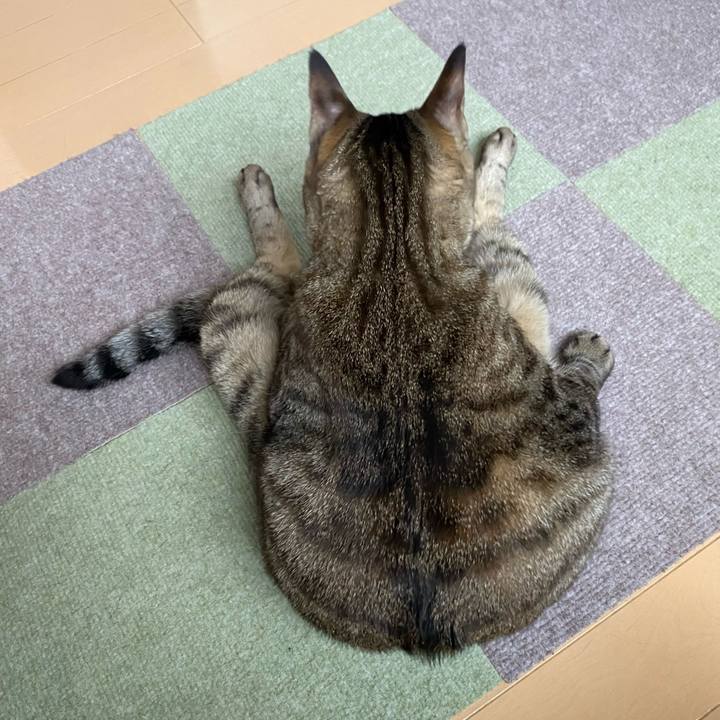 Ad143450 5be7 4e5f bab7 4e8cc253abd3 1712369961829