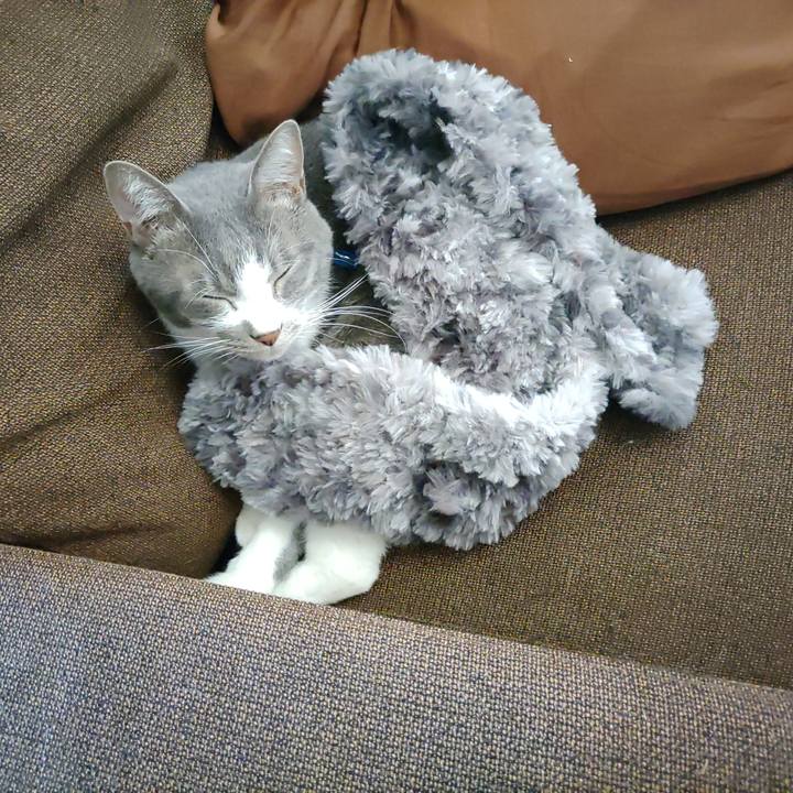 Ad14411e 67ad 45be a62d 2a5f9c1ed845 1667878035228