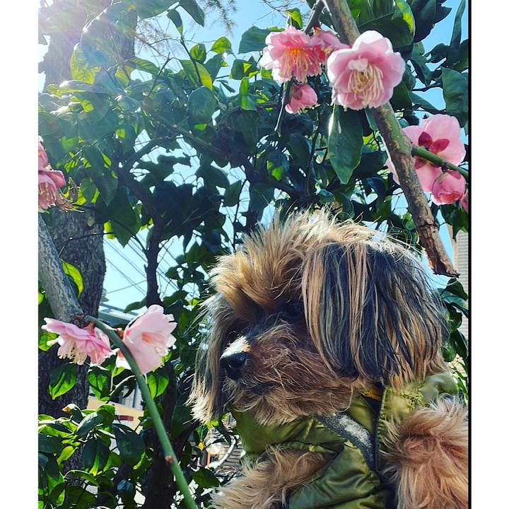 Ad14565b 9919 4775 8931 ebdf88978924 1677040020384