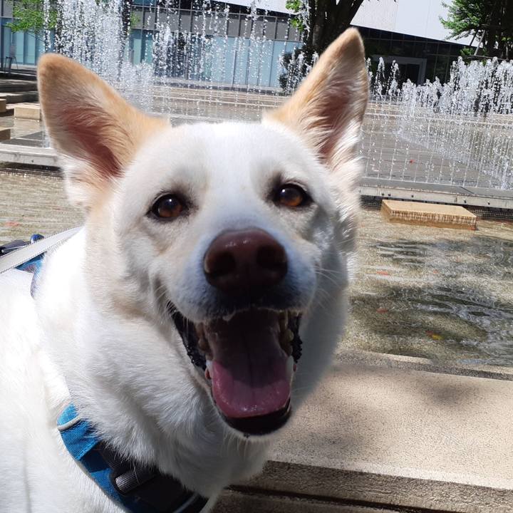 Ad148499 4ae2 408c 8d8f 764ad5e25602 1651296031183