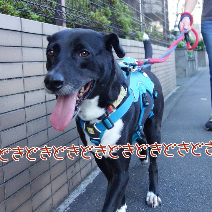 Ad14b943 69cb 4d29 b3b0 d58a724de293 1633480219821