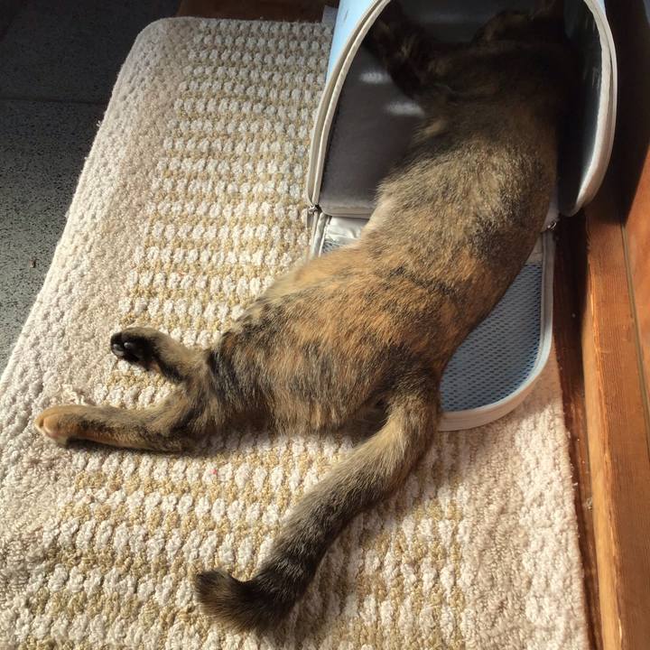 Ad14c815 dfd6 4b96 862e da7436d8c190 1574649921749