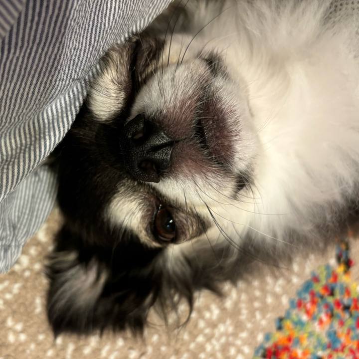 Ad14d91b c2df 40b8 916b 6df84228d843 1720367445944