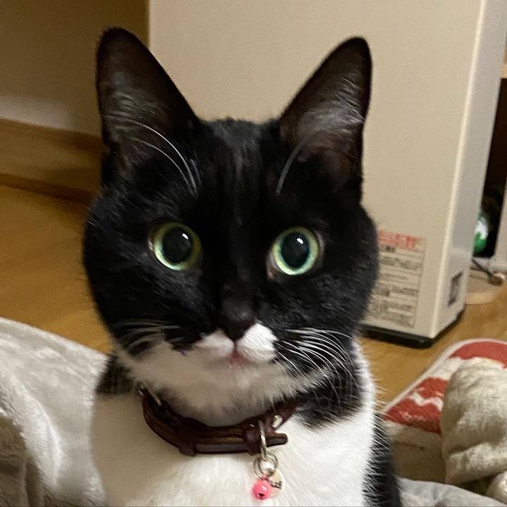 Ad14e9ef a9c4 4902 b84a 8e39e042d743 1674652481830