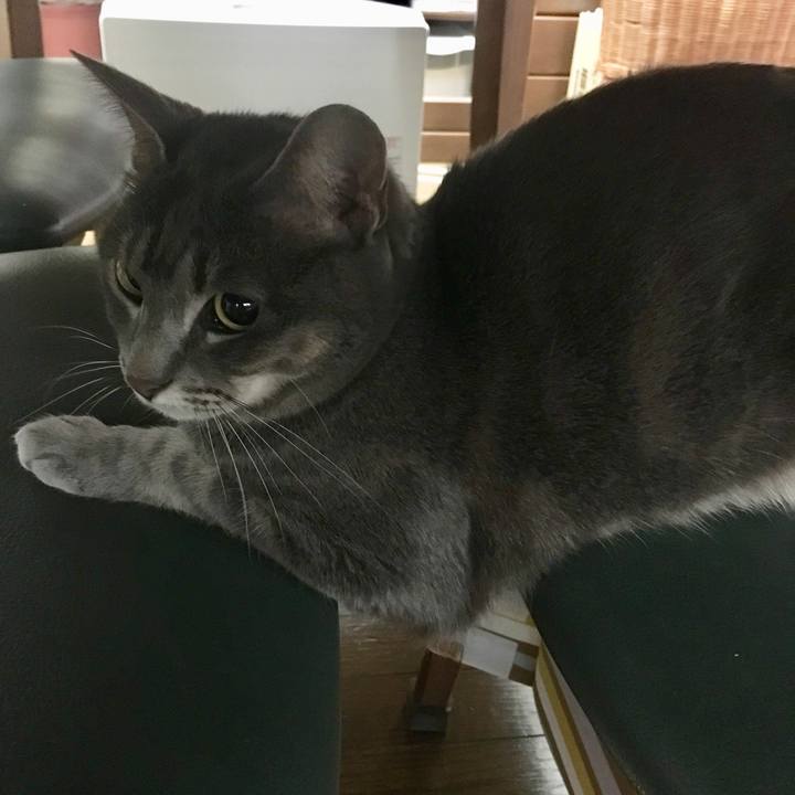 Ad14f92d 77a9 4fff 86d6 9a20331d243d 1553301708155