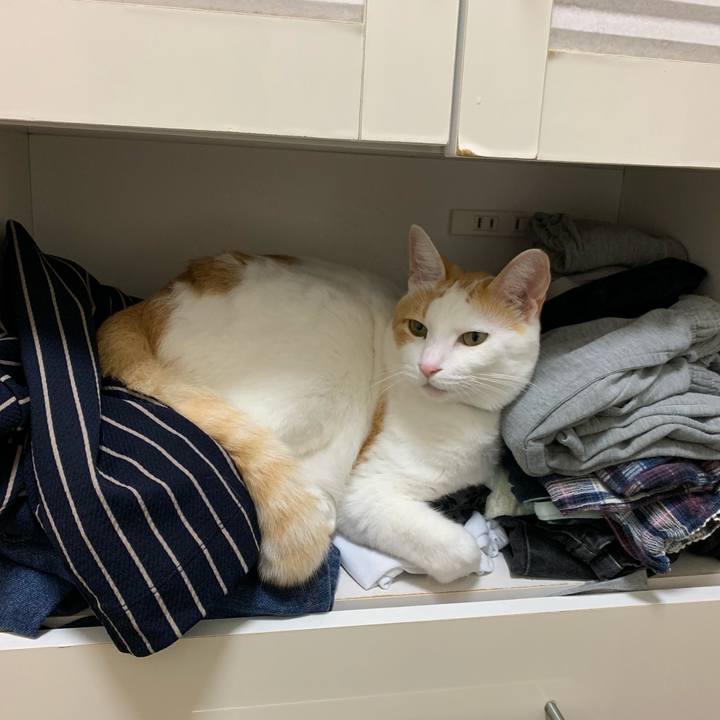 Ad151528 eae5 4213 a0a8 08a72cdc6746 1569413604077