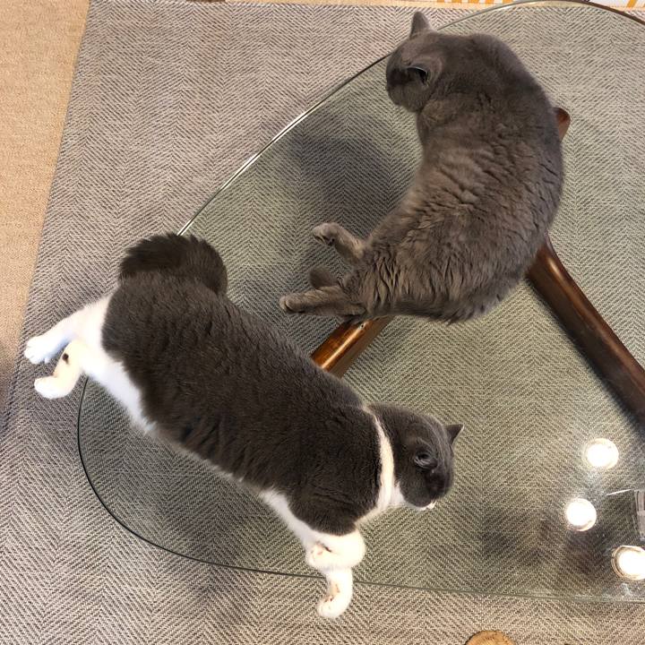 Ad1572a9 eb72 4e25 929b 7cd581b7faa7 1566126978463