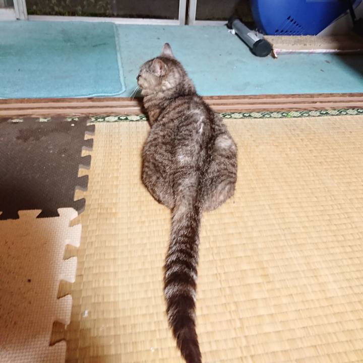 Ad159834 f52c 4674 a96d e8d7a6073a9c 1567766717079