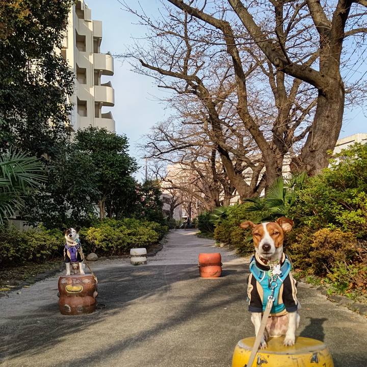 Ad15bce5 5283 4178 b238 530718fb0a8c 1647773358060