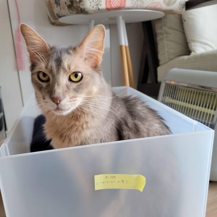 Ad15c6ee 54c3 4af1 a02f 49a6ffe40301 1651497705770