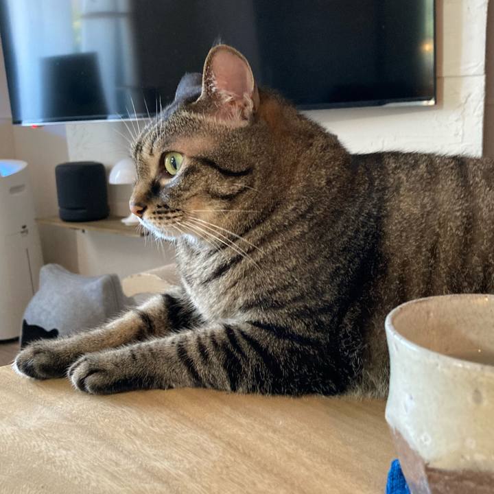 Ad15d8f4 51c1 43c2 a609 10ea9b4fb16c 1725264779407