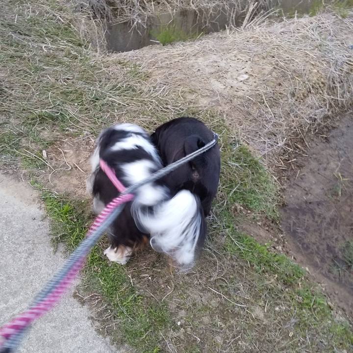 Ad16448b 5af7 4005 a58d 8c443fa49f9d 1558095889673