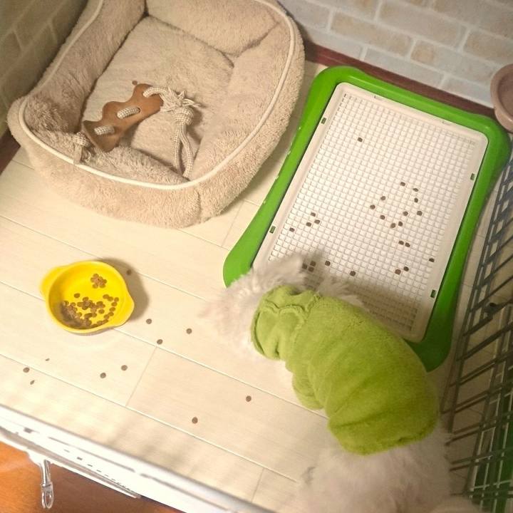 Ad165f95 0674 4ab0 966e 92a2ed037460 1510967091194