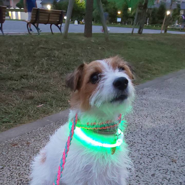 Ad169988 beee 48ec afb5 cc6f8615027a 1598955109946