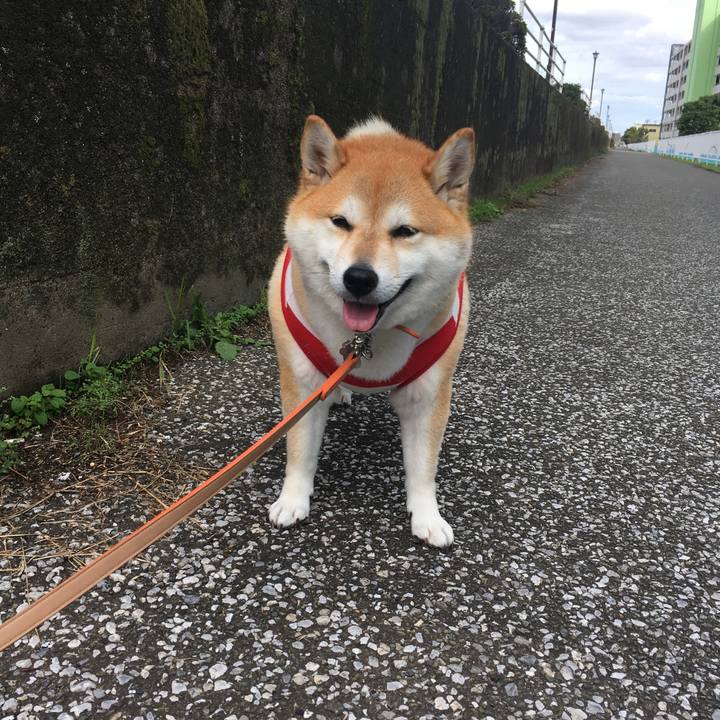 Ad169f34 3e5c 45b7 b6ff 14c4fbdf3c00 1571541615928