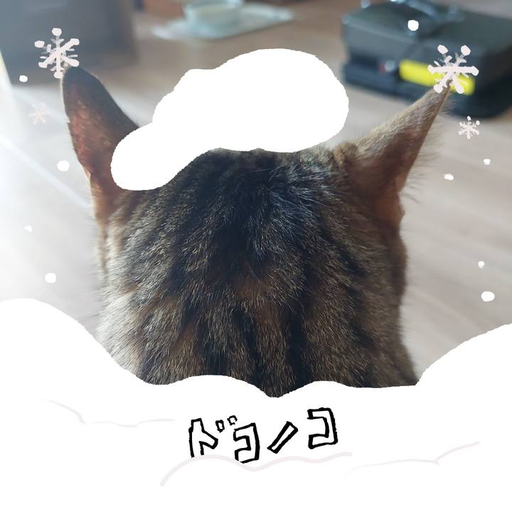 Ad16dbf3 07b2 46fb 831b a3e84d8d2c19 1772243520981