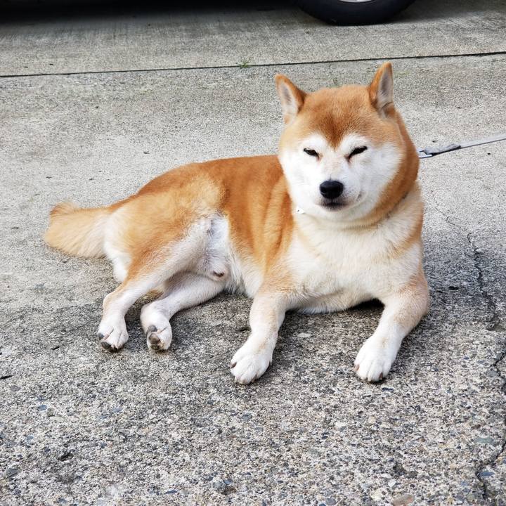 Ad170443 2efd 4fc3 91b7 85b4e5bb8278 1568880091799